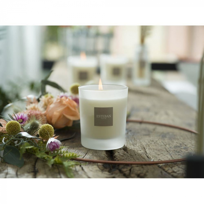 Lumanare Parfumata Amber&Balms - Esteban Paris [8]
