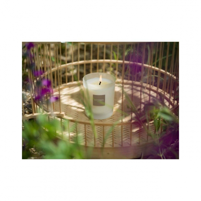 Lumanare Parfumata Amber&Balms - Esteban Paris [7]