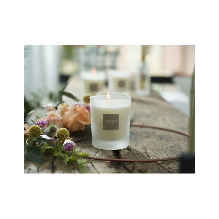 Lumanare Parfumata Amber&Balms - Esteban Paris [6]