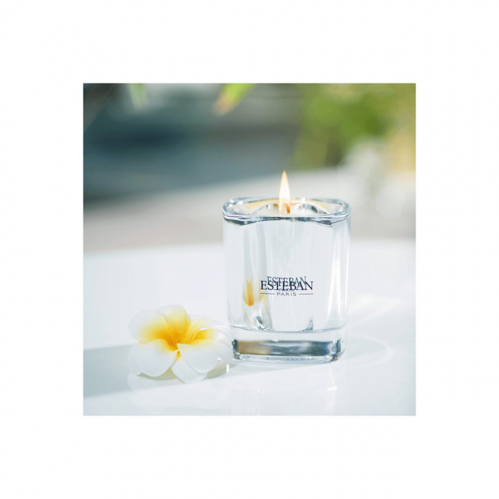 Lumanare Parfumata Ceai Alb&Ylang Ylang - Esteban Paris [2]