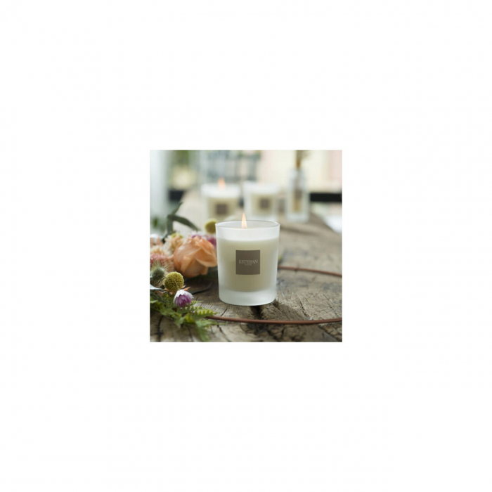 Lumanare Parfumata Linen Freshness - Esteban Paris [10]