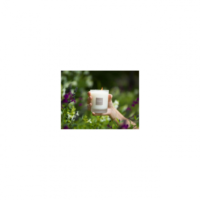 Lumanare Parfumata Linen Freshness - Esteban Paris [4]