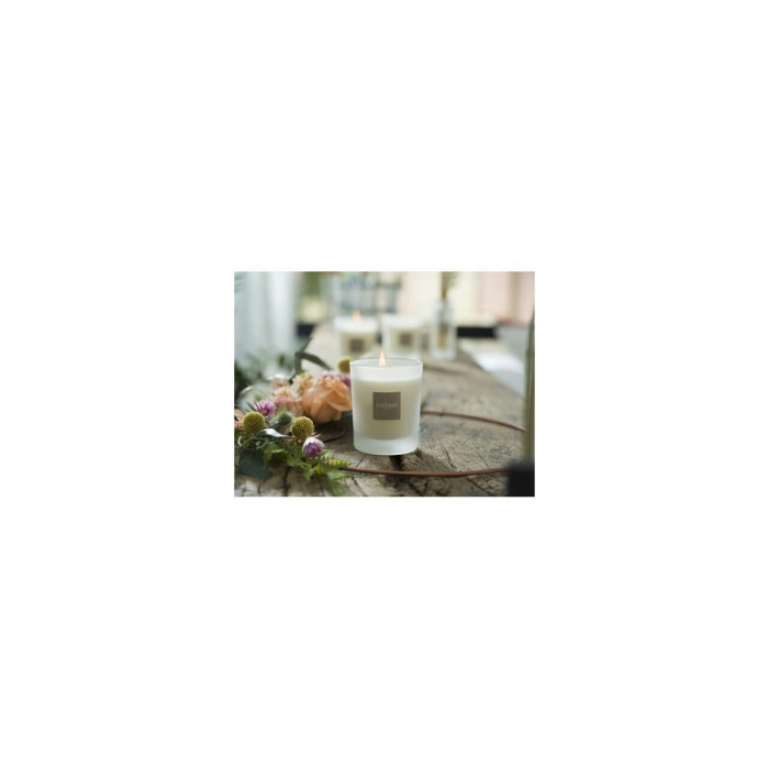 Lumanare Parfumata Pomegranate&Lime - Esteban Paris [5]