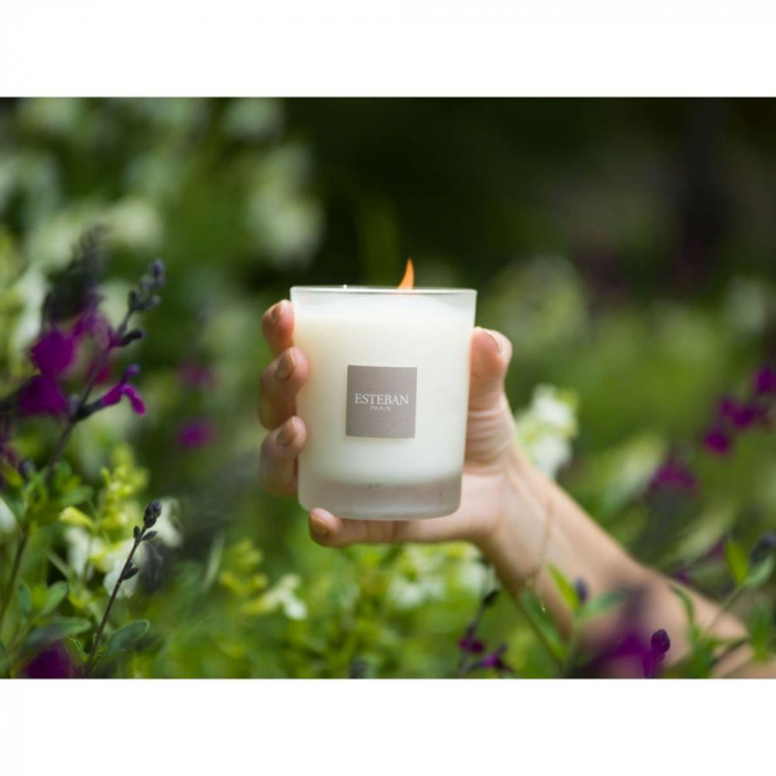 Lumanare Parfumata Summer Jasmine - Esteban Paris [9]