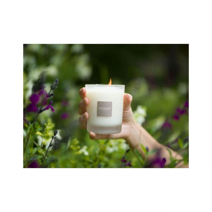 Lumanare Parfumata Summer Jasmine - Esteban Paris [2]