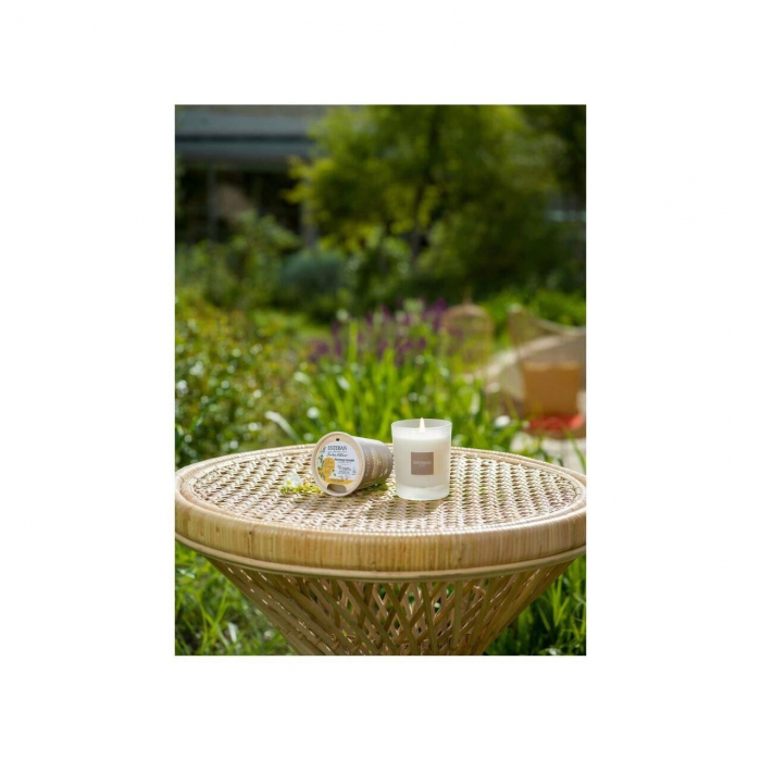 Rezerva Lumanare Aloe Flower - Esteban Paris [5]