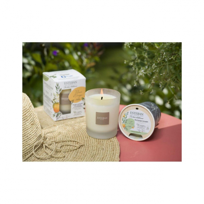 Rezerva Lumanare Amber&Balms - Esteban Paris [3]