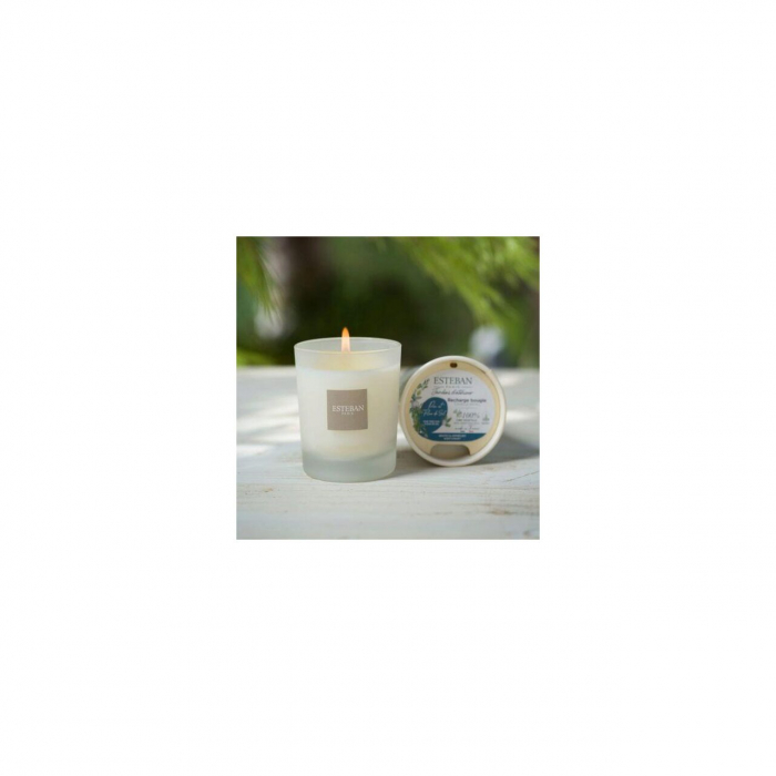 Rezerva Lumanare Pine&Fleur de Sel [3]