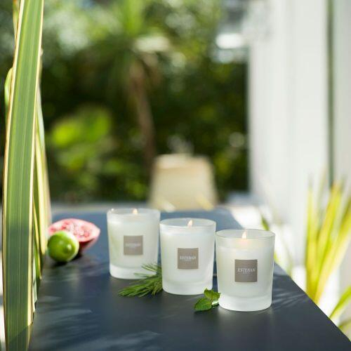 Rezerva Lumanare Pomegranate&Lime - Esteban Paris [4]