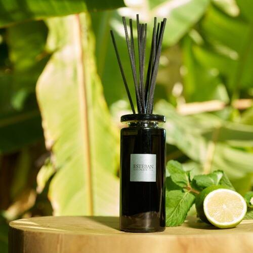 Rezerva Parfum 250ml Amazon Water - Esteban Paris [3]