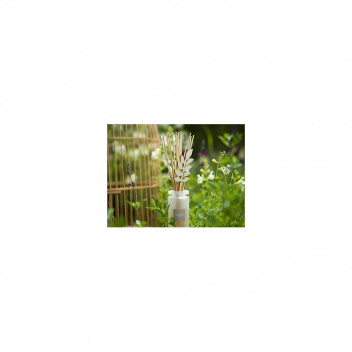 Rezerva parfum 250ml Pomegranate&Lime - Esteban Paris [7]