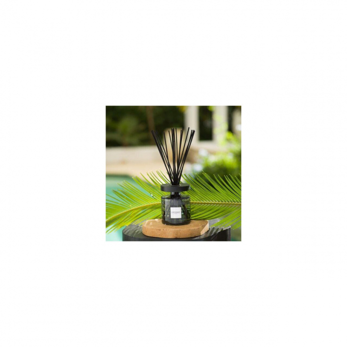 Rezerva Parfum 250ml Sandalwood&Coconut Blossom - Esteban Paris [2]