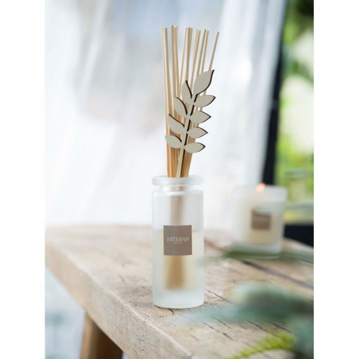 Rezerva parfum 500ml Aloe Flower - Esteban Paris [10]