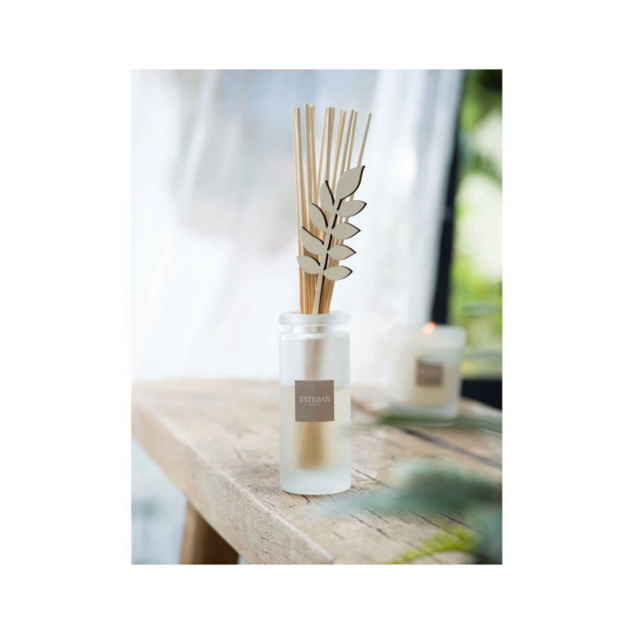 Rezerva parfum 500ml Aloe Flower - Esteban Paris [3]