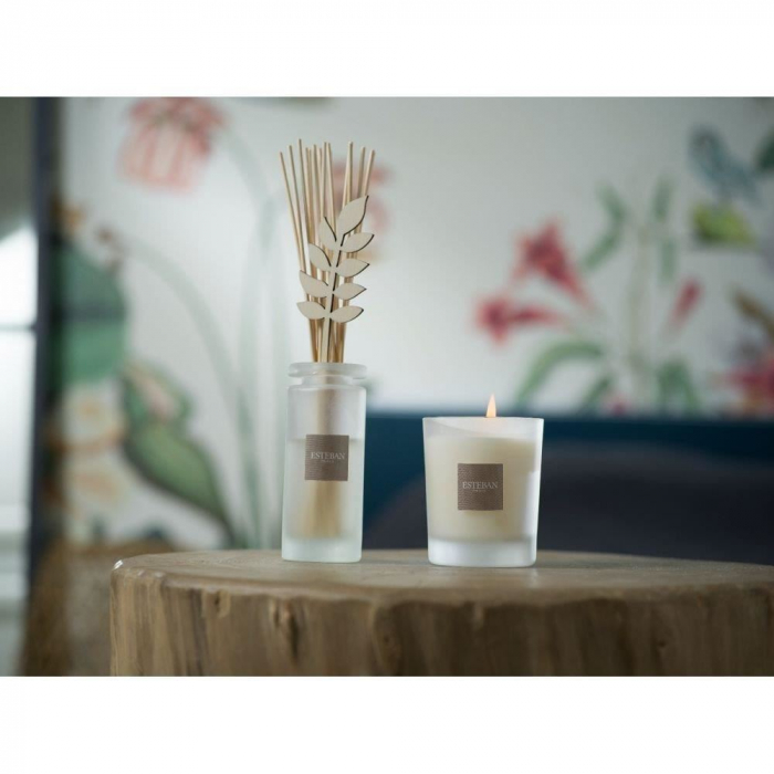 Rezerva parfum 500ml White Cotton - Esteban Paris [7]