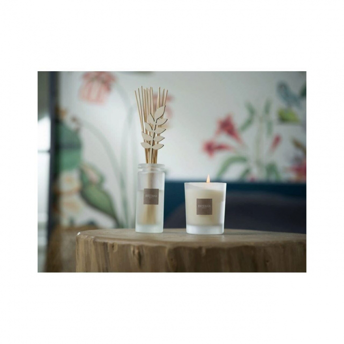 Rezerva parfum 500ml White Cotton - Esteban Paris [4]