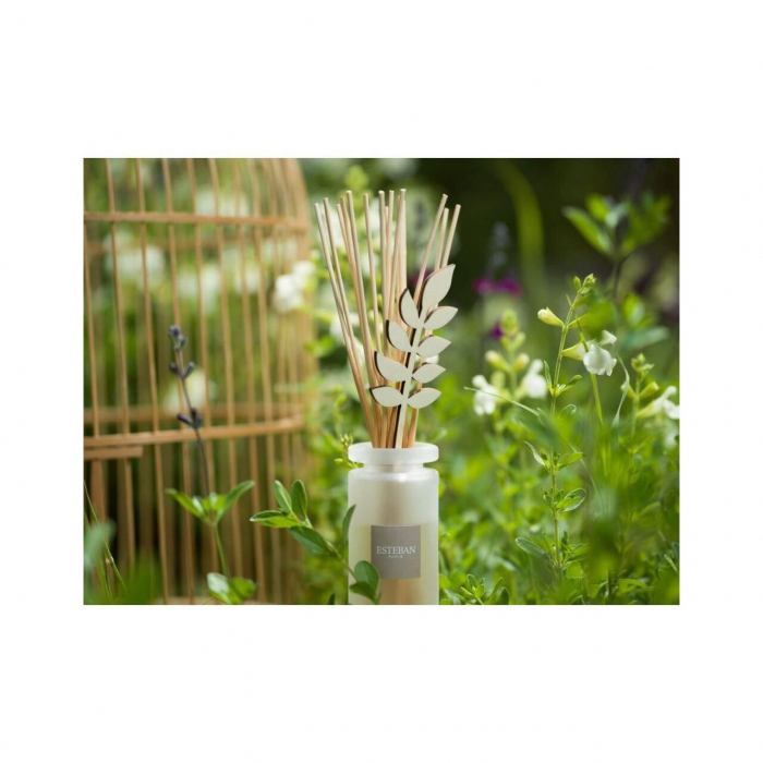 Rezerva parfum 500ml White Cotton - Esteban Paris [2]