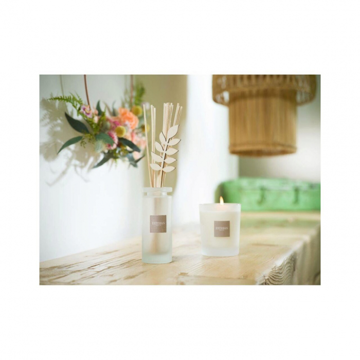 Rezerva parfum 500ml White Cotton - Esteban Paris [3]