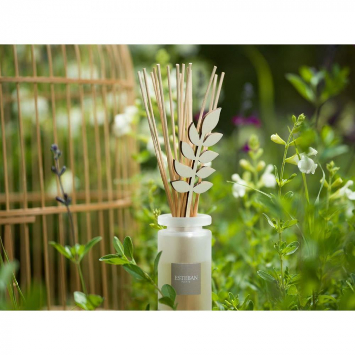 Rezerva parfum 500ml White Cotton - Esteban Paris [9]