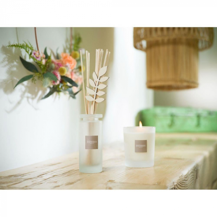 Rezerva parfum 500ml Summer Jasmine - Esteban Paris [8]