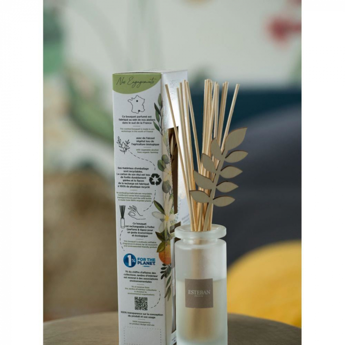 Rezerva parfum 500ml Wild Cedar - Esteban Paris [4]