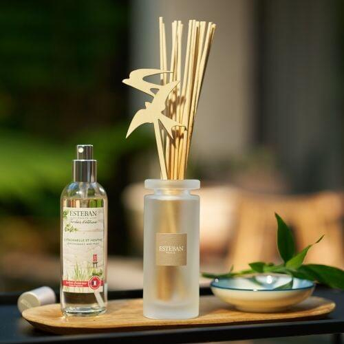 Rezerva Parfum Lemongrass&Mint 500ml - Esteban Paris [6]
