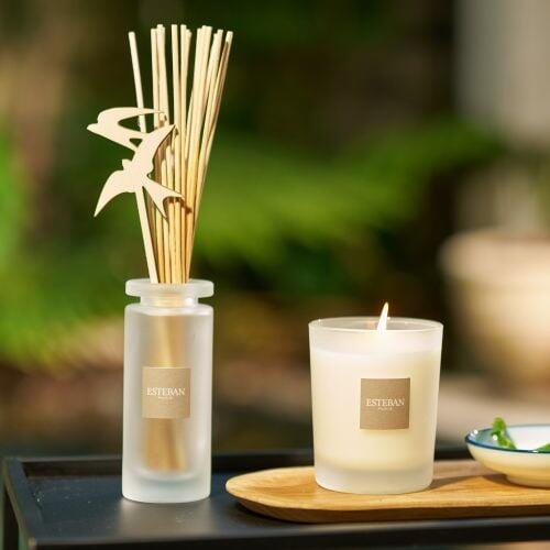 Rezerva Parfum Lemongrass&Mint 500ml - Esteban Paris [7]