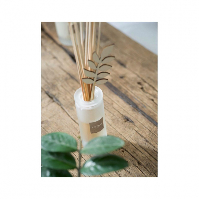 Spray Camera 100ml Blooming Tea - Esteban Paris [2]