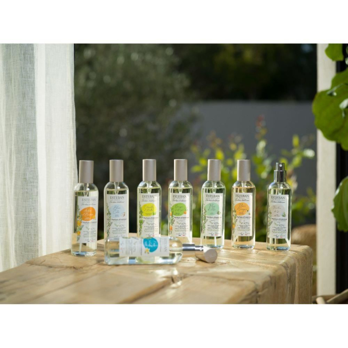 Spray Camera 100ml Lemongrass&Mint - Esteban Paris [3]