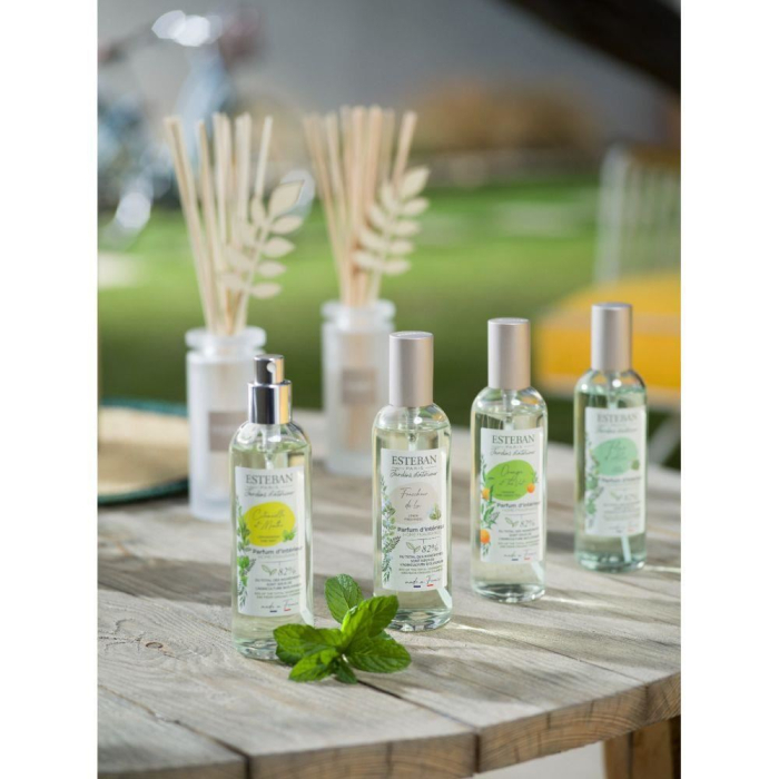 Spray Camera 100ml Lemongrass&Mint - Esteban Paris [2]