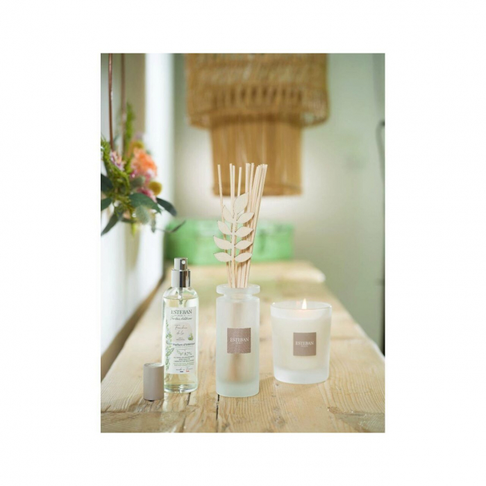 Spray Camera 100ml Linen Freshness - Esteban Paris [4]