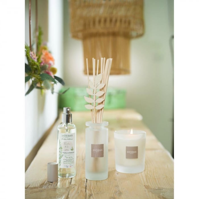 Spray Camera 100ml Linen Freshness - Esteban Paris [7]