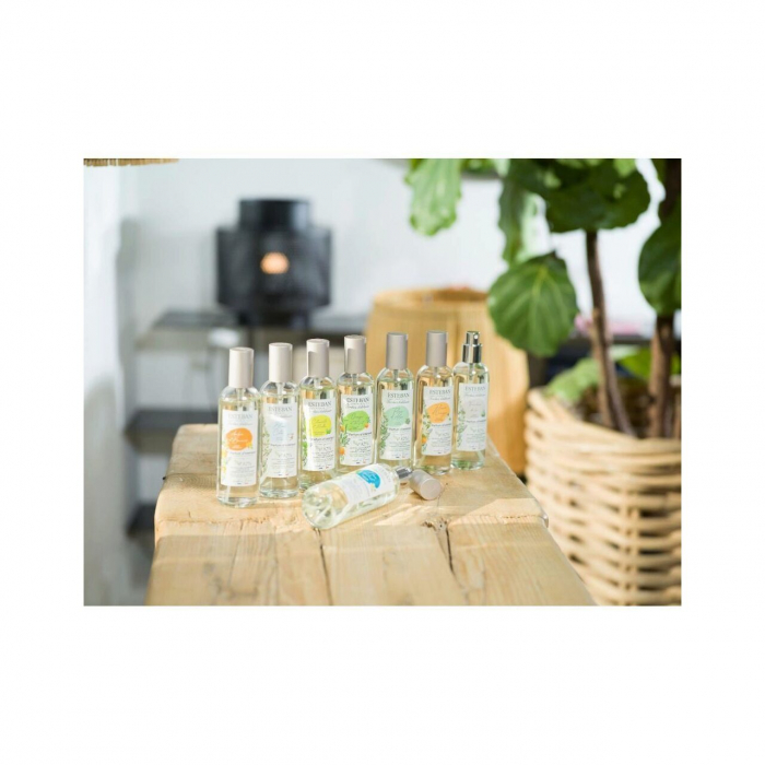 Spray Camera 100ml Orange&Green Tea - Esteban Paris [2]