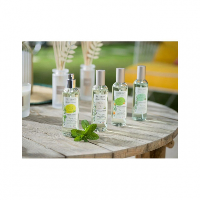 Spray Camera 100ml Orange&Green Tea - Esteban Paris [4]