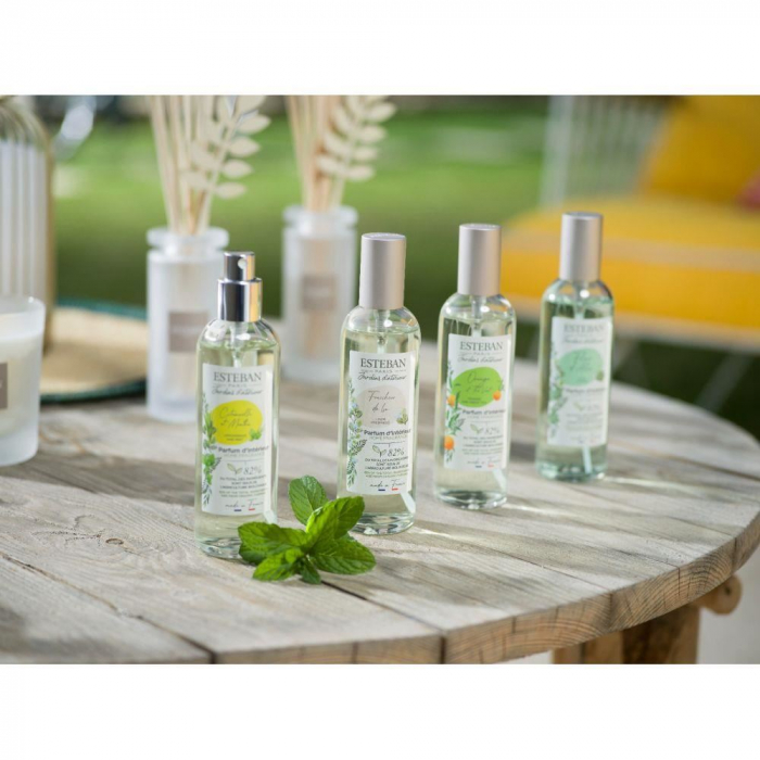 Spray Camera 100ml Orange&Green Tea - Esteban Paris [7]
