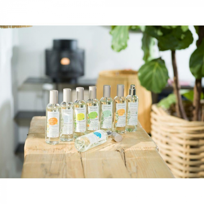 Spray Camera 100ml Orange&Green Tea - Esteban Paris [5]