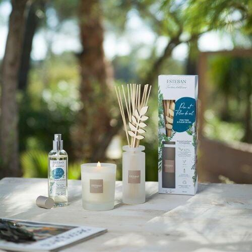 Spray Camera 100ml Pine&Fleur de Sel [6]