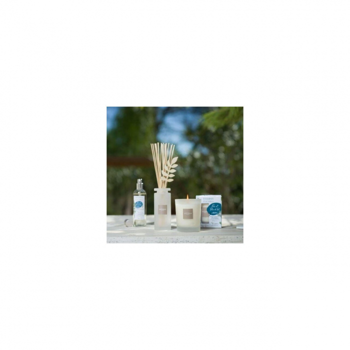 Spray Camera 100ml Pine&Fleur de Sel [4]