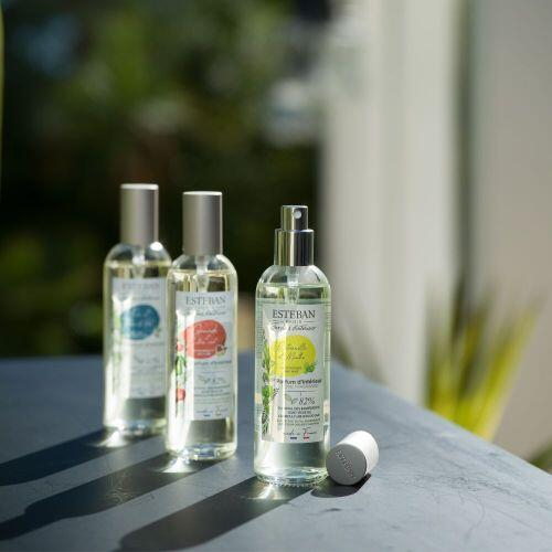 Spray Camera 100ml Pomegranate&Lime - Esteban Paris [3]
