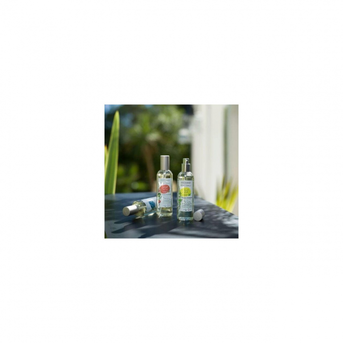 Spray Camera 100ml Pomegranate&Lime - Esteban Paris [6]