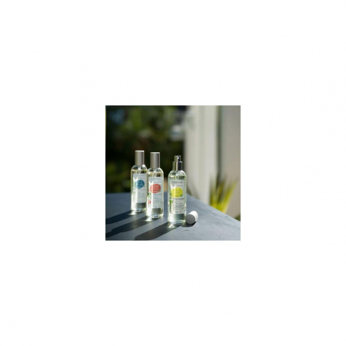 Spray Camera 100ml Pomegranate&Lime - Esteban Paris [5]