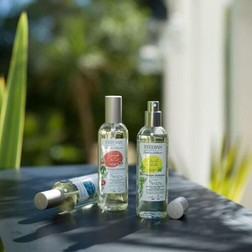 Spray Camera 100ml Pomegranate&Lime - Esteban Paris [4]