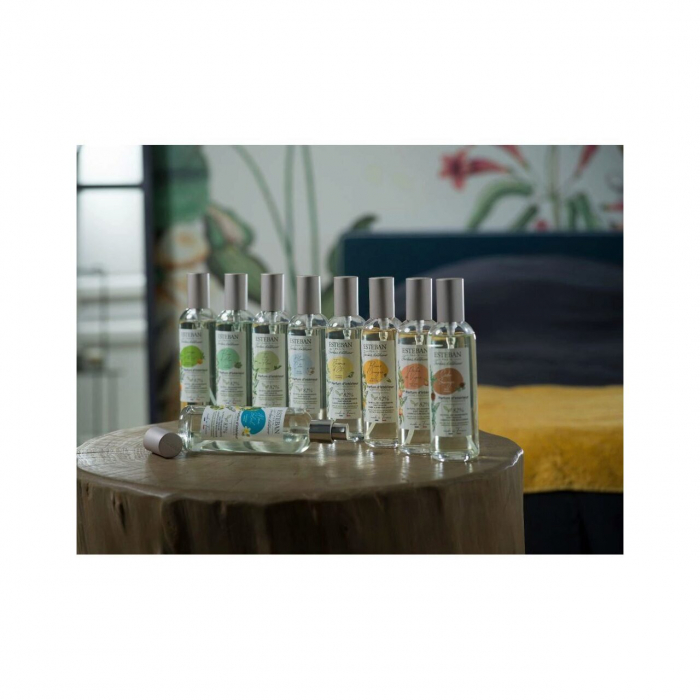 Spray Camera 100ml Wild Cedar - Esteban Paris [3]