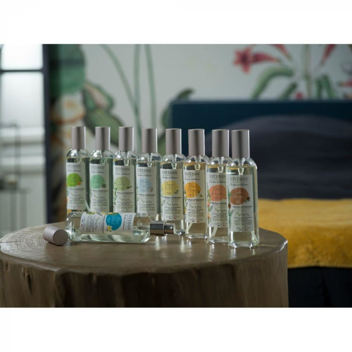 Spray Camera 100ml Wild Cedar - Esteban Paris [4]