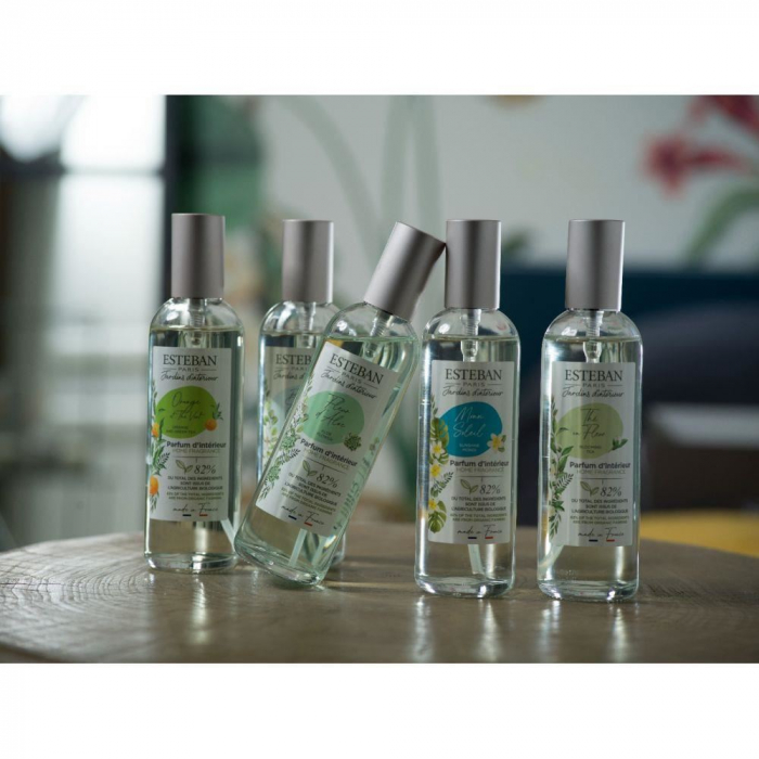 Spray Camera 100ml Wild Cedar - Esteban Paris [5]