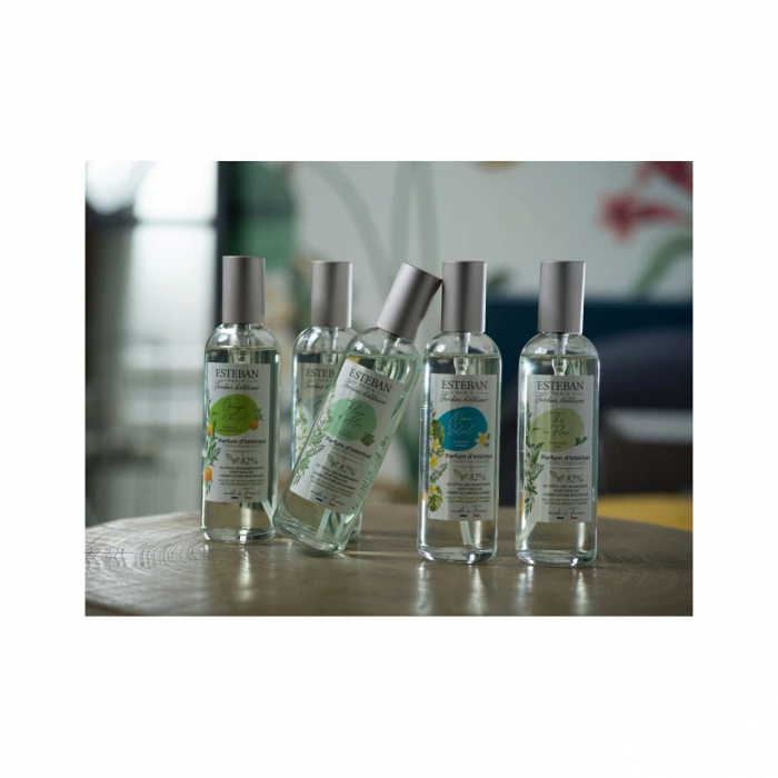 Spray Camera 100ml Wild Cedar - Esteban Paris [2]