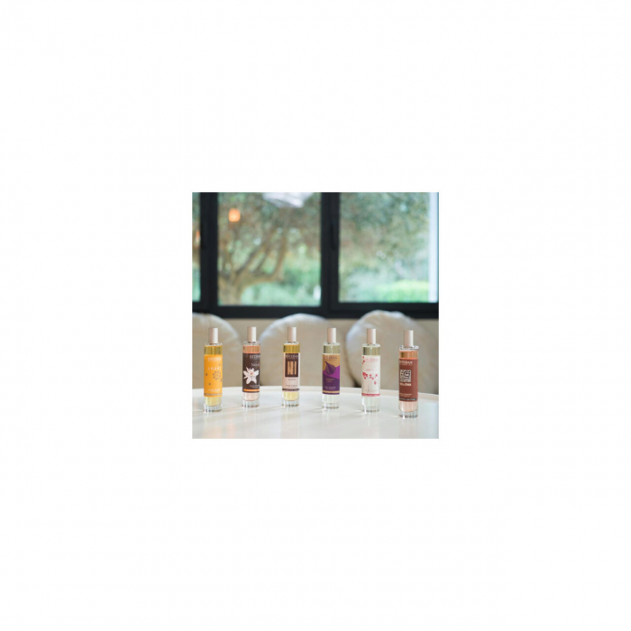 Spray Camera 75 ml Teck&Tonka - Esteban Paris [3]