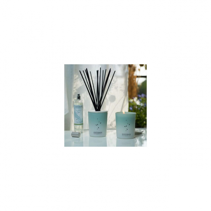 Spray Camera 75ml Pur Lin - Esteban Paris [2]