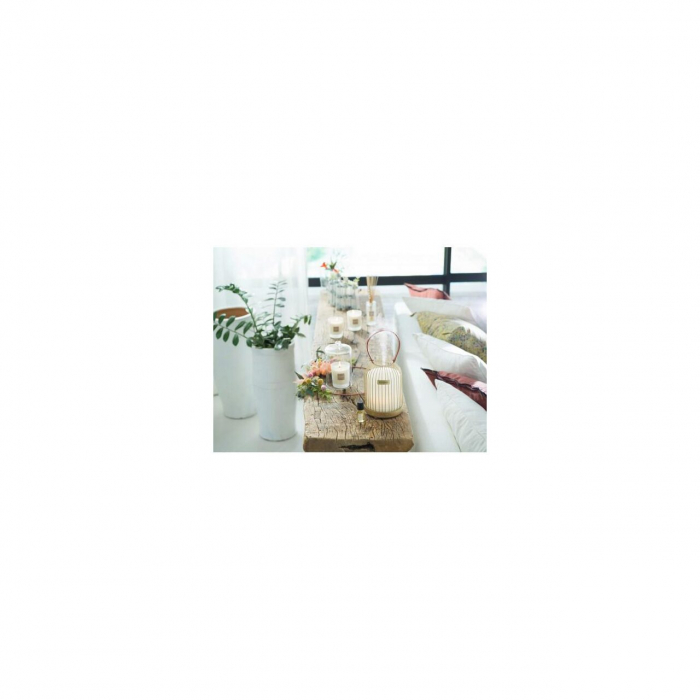 Ulei esential concentrat de parfum 15 ml Pine&Fleur de sel [4]