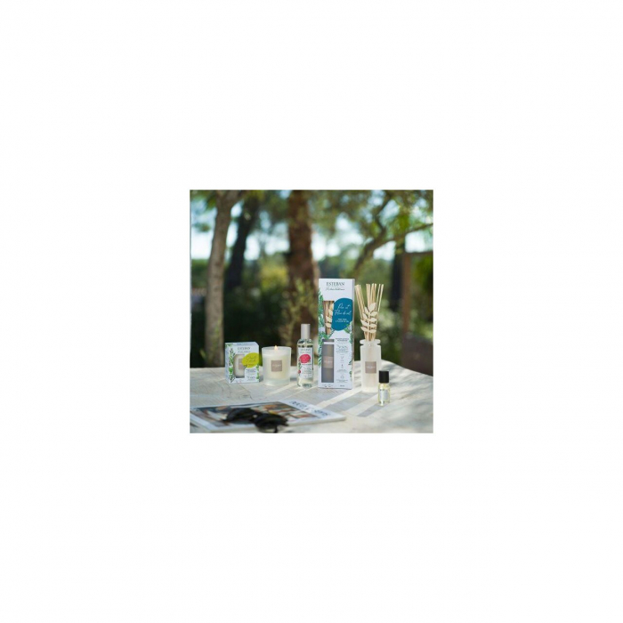 Ulei esential concentrat de parfum 15 ml Pine&Fleur de sel [3]